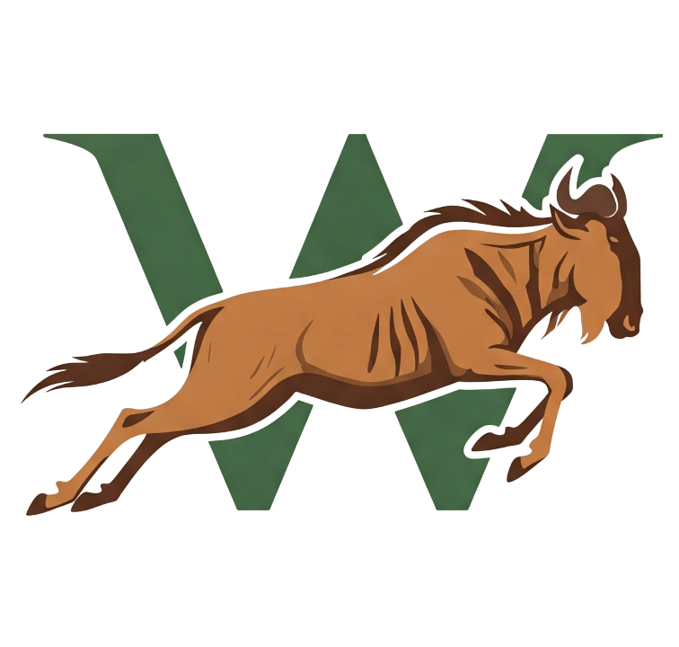 Wendo Safari Logo